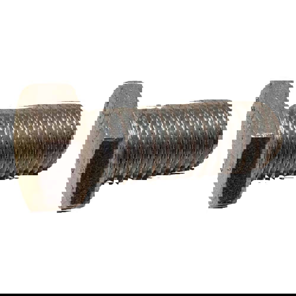 1 Inch Long, Hex Head Bolt