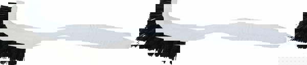 Scouring Brush: Nylon Bristles