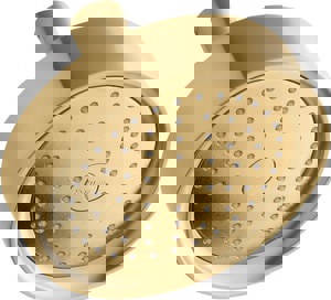 Single Function Showerhead in Vibrant Brushed Moderne Brass