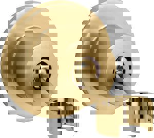 Hand Shower Holder in Vibrant Brushed Moderne Brass