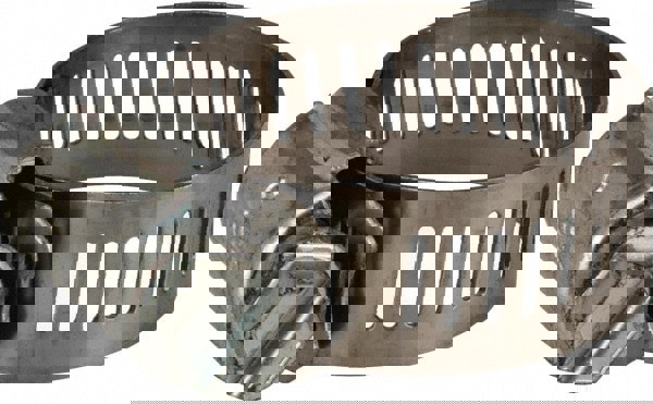 Worm Gear Clamp: 1/2 to 1-1/4