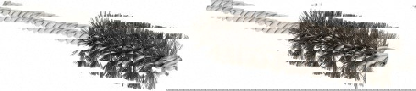 Power Tube Brush: Helical, Steel