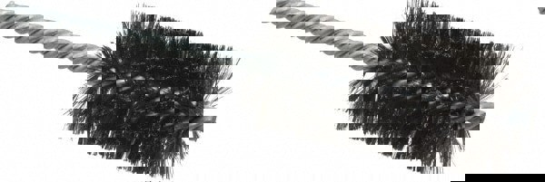 Power Tube Brush: Helical, Steel