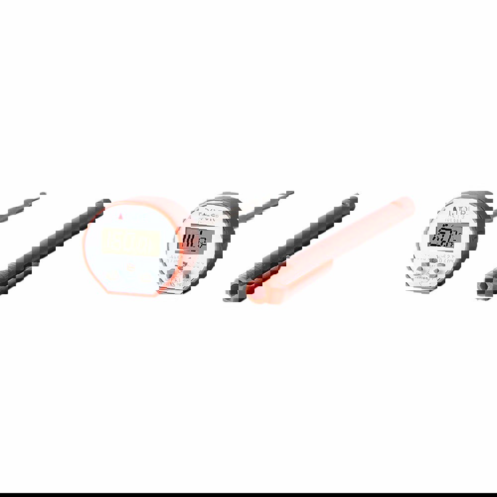 Digital Dual Input Digital Thermometer: 300 &deg; F