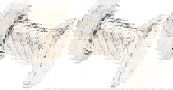 Battery Connector Nut & Bolt