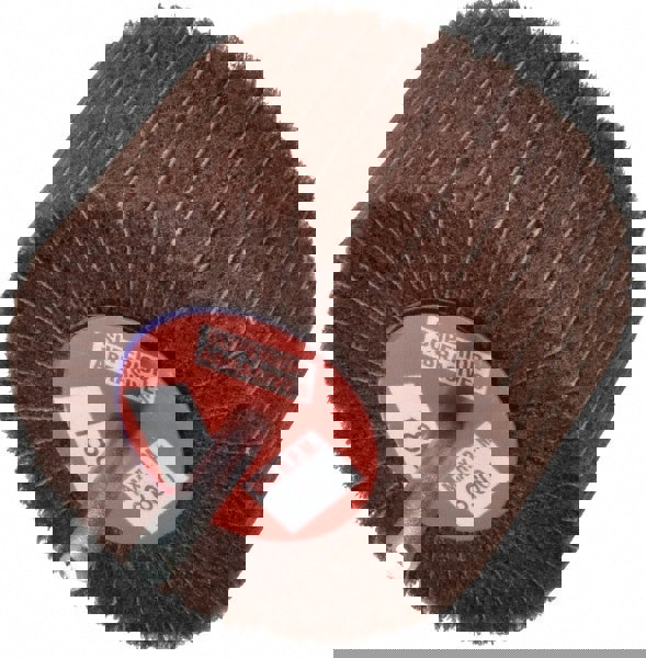 Mounted Flap Wheel: 3