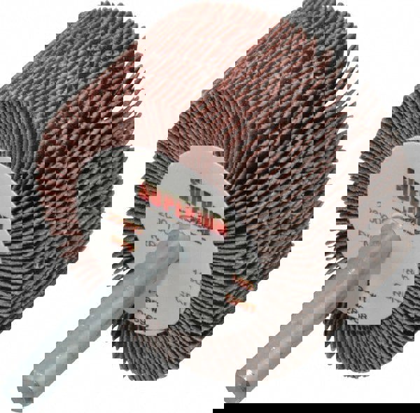 Mounted Flap Wheel: 2