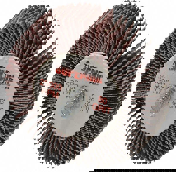 Mounted Flap Wheel: 2