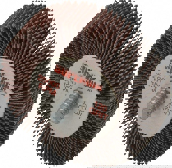 Mounted Flap Wheel: 2