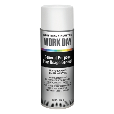Enamel Spray Paint: White, Gloss, 10 oz