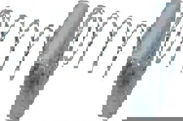 Strut Channel Regular Spring Nut: Use with Thomas & Betts - Channel Type A Only, 3/8