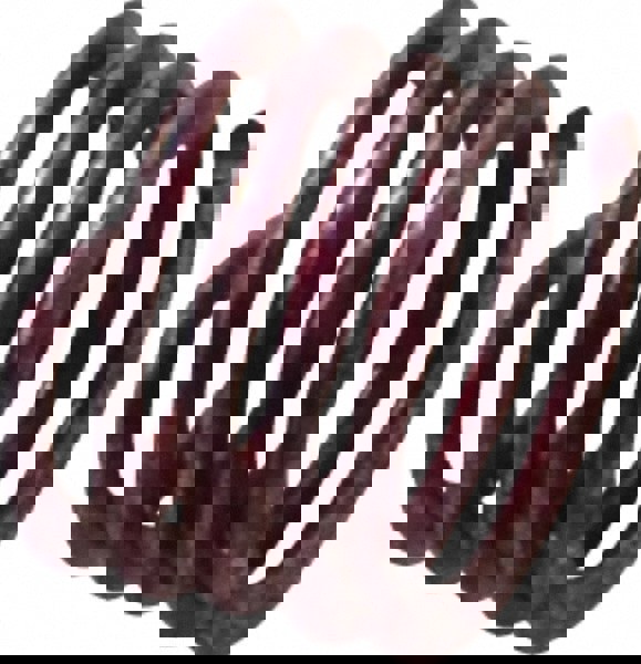 Screw-Locking Insert: Stainless Steel, 3/8-16 UNC, 1D