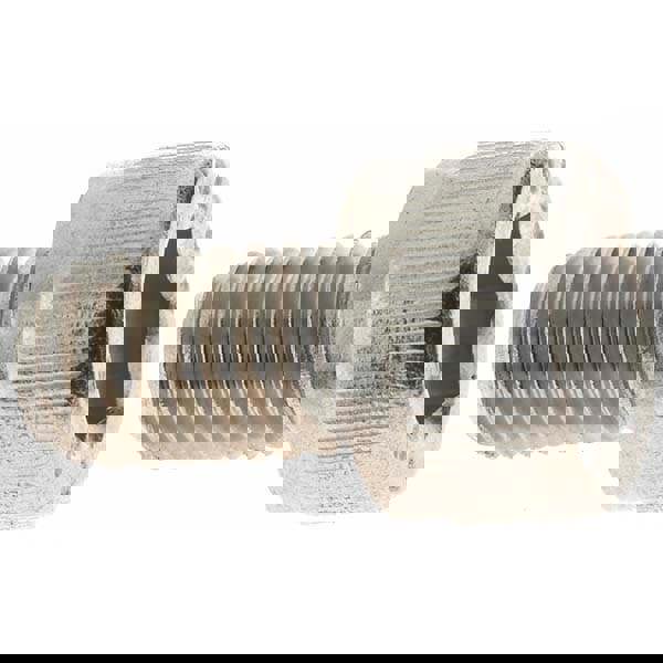 Hex Socket Cap Screw: M6 x 1.00 Metric