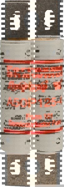 Fuse: Fast-Acting, 125.00 A