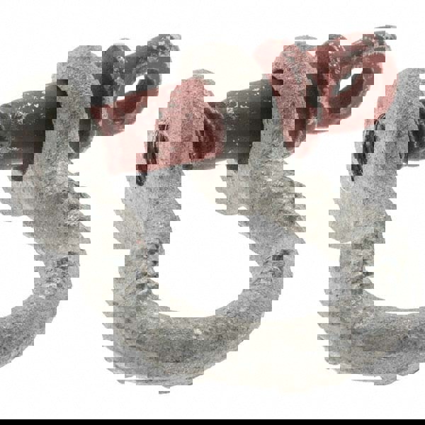 Anchor Shackle: Screw Pin
