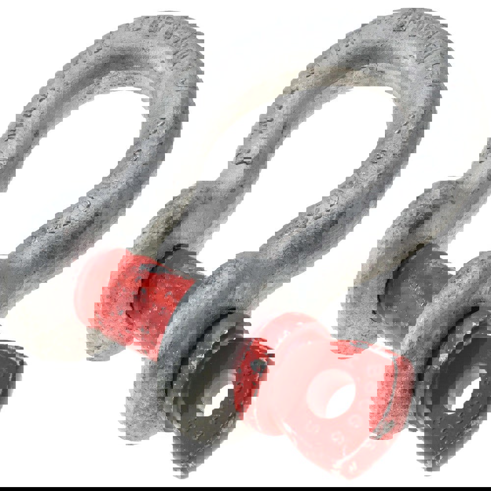 Anchor Shackle: Screw Pin