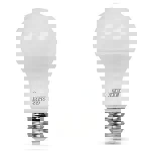 CCY 60W LED BULB A19 5000K 6/PK