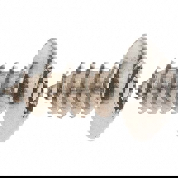 Sheet Metal Screw: #10, Button Head, Torx