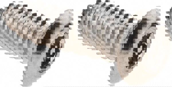 Sheet Metal Screw: #14, Button Head, Pin In Torx