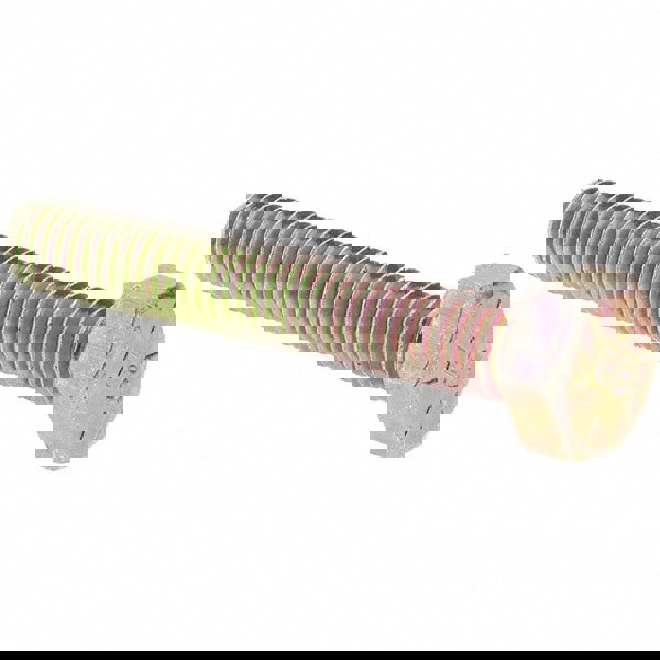 Hex Head Cap Screw: 5/16-18 x 2