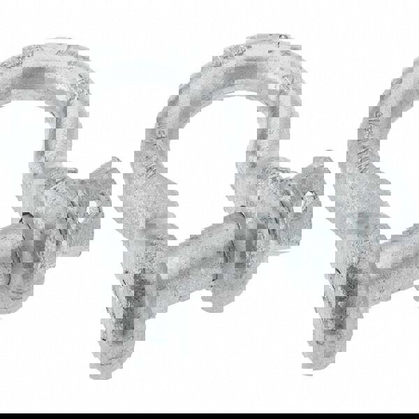 Anchor Shackle: Screw Pin