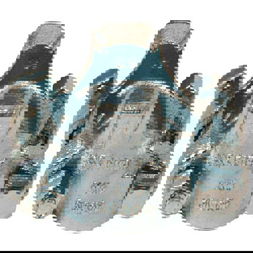 Hose Clamp: Plated Iron Worm Drive