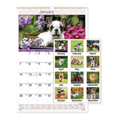 Wall Calendar: 12 Sheets