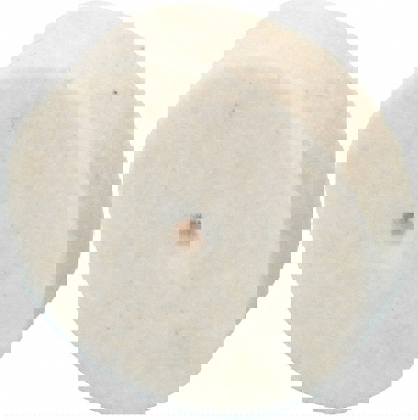 Unmounted Polishing Buffing Wheel: 3/4