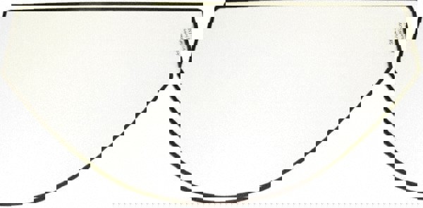 Face Shield Windows & Screens: Clear, 8