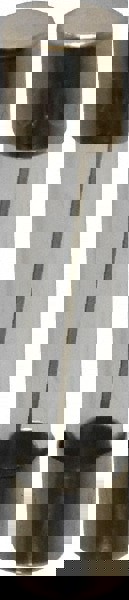 Cartridge Fast-Acting Fuse: 10 A, 1-1/4