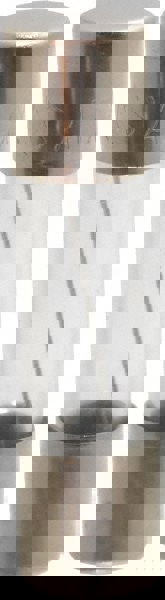 Cartridge Fast-Acting Fuse: 6 A, 1