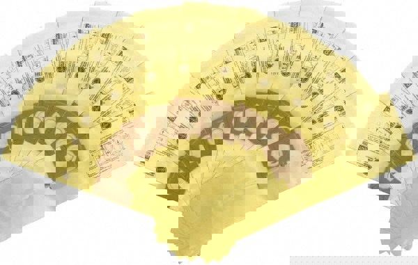 Pack of (10) Cloth Filter Bags