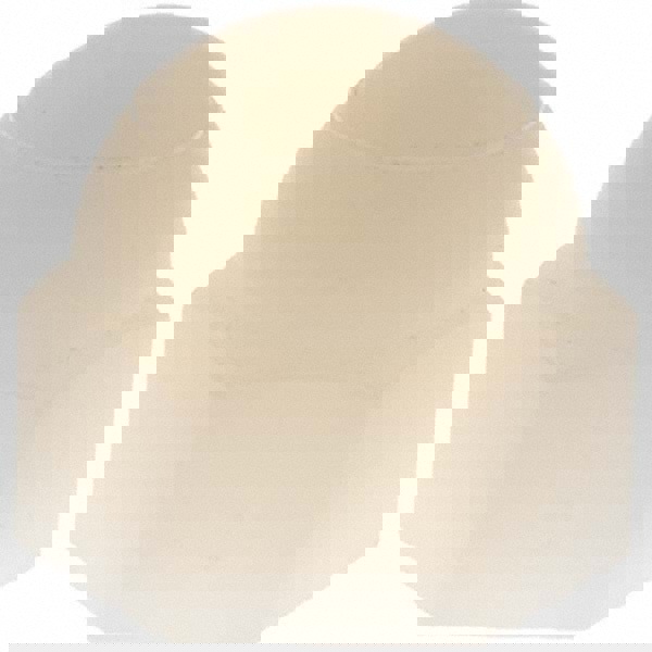 Acorn Nuts; Nut Type: Nylon Insert Nut ; Material: Nylon ; Thread Size: 5/16-18 ; Thread Standard: UNC ; UNSPSC Code: 31161726
