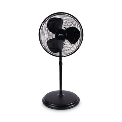 FAN,PEDESTAL,16