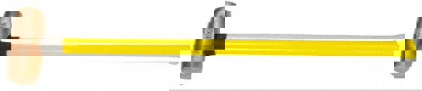 10 Lb Head Nonsparking Hammer