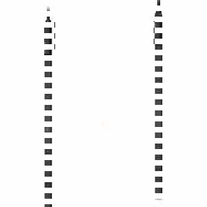RACK PDU BASIC VERTICAL 208V 60A 21 C13