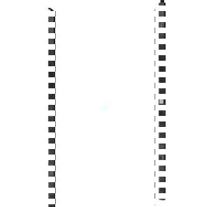 SWITCHED RACK PDU 2G 230V 32A 0U 21XC13