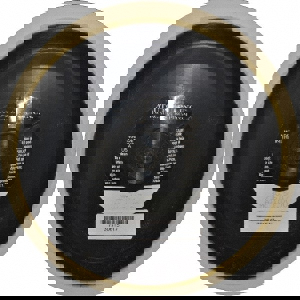 Disc Backing Pad: Hook & Loop