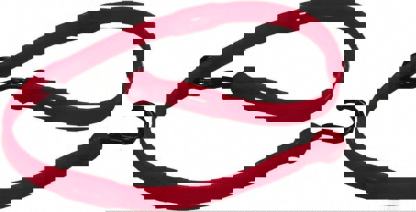 Adjustable Bungee Strap with Molded Nylon Hook