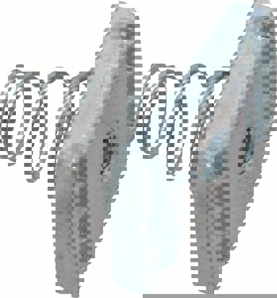 Strut Channel Short Spring Nut: Use with Thomas & Betts - Channel Type B Only, 1/4