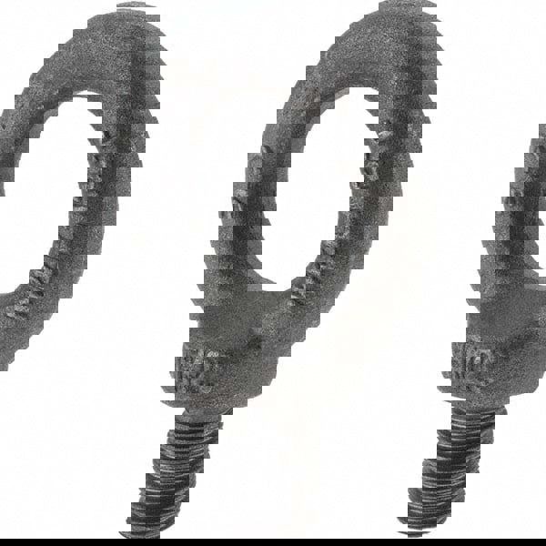 Fixed Lifting Eye Bolt: With Shoulder, M20 x 2.50 Thread, Grade 1015 Steel