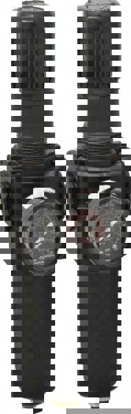 FRL Combination Unit: 3/4 NPT, Standard, 1 Pc Filter/Regulator with Pressure Gauge