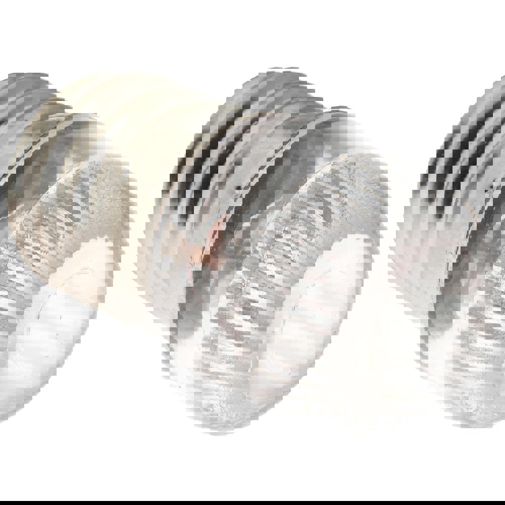 2.4 Watt, Incandescent Miniature & Specialty T3-1/4 Lamp