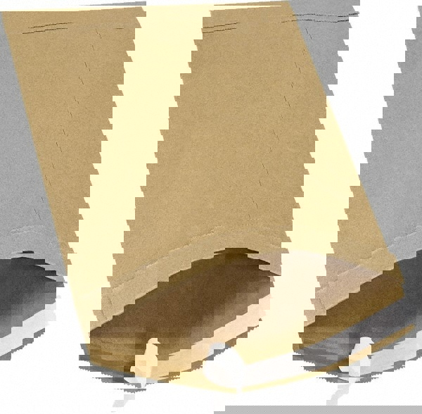 Padded Mailer: Self-Seal