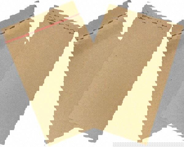 Jiffy Rigi Bag Mailer: Self-Seal, 13