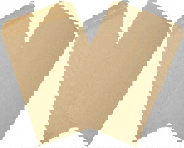 Reinforced Mailer: Self-Seal, 19