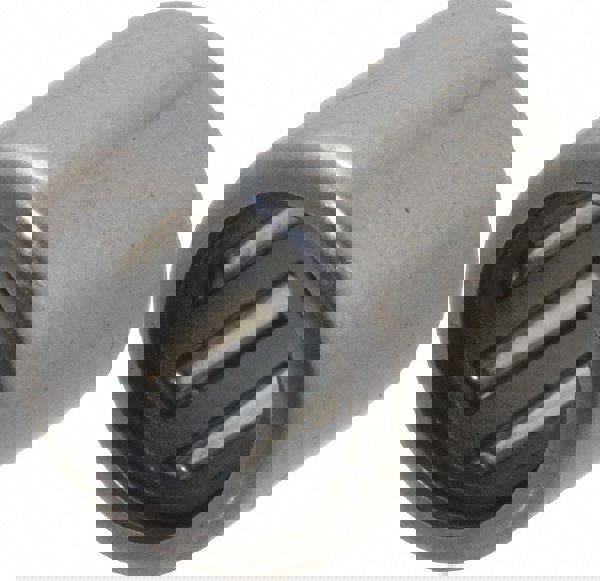 Needle Roller Bearing: 0.313