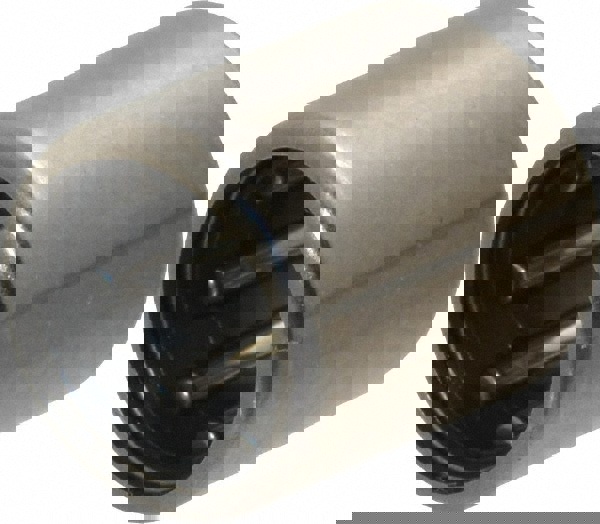 Needle Roller Bearing: 0.313