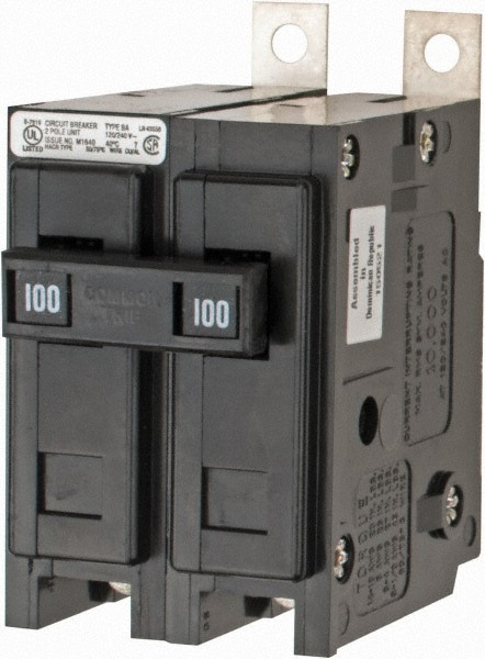 100 Amp, 120/240 VAC, 24 VDC, 48 VDC, 80 VDC, 2 Pole, Bolt On Miniature Circuit Breaker