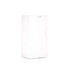 BAG,GROC,1LB,500,WH